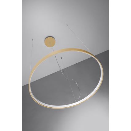 Thoro TH.217 -  Κρεμαστό φωτιστικό οροφής LED RIO LED/30W/230V CRI 95 4000K διάμετρος 55 cm χρυσό