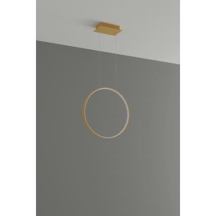 Thoro TH.220 -  Κρεμαστό φωτιστικό οροφής LED RIO LED/30W/230V CRI 90 3000K διάμετρος 55 cm χρυσό