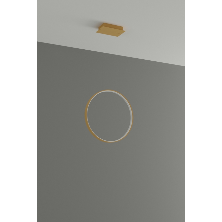 Thoro TH.220 -  Κρεμαστό φωτιστικό οροφής LED RIO LED/30W/230V CRI 90 3000K διάμετρος 55 cm χρυσό