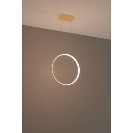 Thoro TH.220 -  Κρεμαστό φωτιστικό οροφής LED RIO LED/30W/230V CRI 90 3000K διάμετρος 55 cm χρυσό