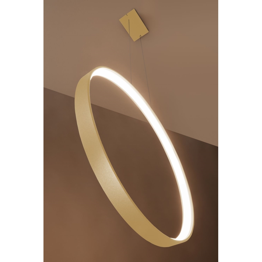 Thoro TH.220 -  Κρεμαστό φωτιστικό οροφής LED RIO LED/30W/230V CRI 90 3000K διάμετρος 55 cm χρυσό