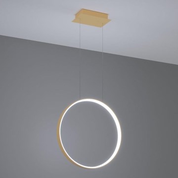 Thoro TH.221 -  Κρεμαστό φωτιστικό οροφής LED RIO LED/30W/230V CRI 95 4000K διάμετρος 55 cm χρυσό