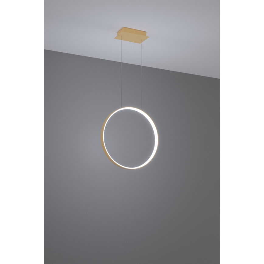 Thoro TH.221 -  Κρεμαστό φωτιστικό οροφής LED RIO LED/30W/230V CRI 95 4000K διάμετρος 55 cm χρυσό