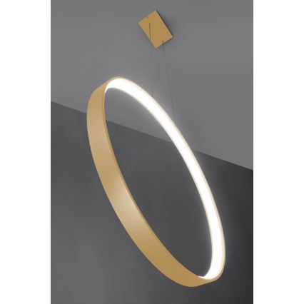 Thoro TH.221 -  Κρεμαστό φωτιστικό οροφής LED RIO LED/30W/230V CRI 95 4000K διάμετρος 55 cm χρυσό