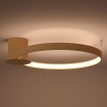 Thoro TH.222 - Φωτιστικό οροφής RIO LED/21W/230V CRI 98 3000K Ø 55 cm χρυσό