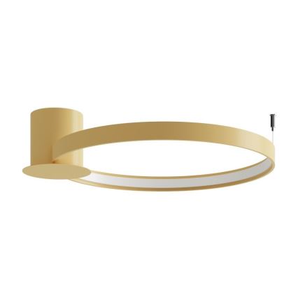 Thoro TH.222 - Φωτιστικό οροφής LED RIO LED/30W/230V CRI 90 3000K διάμετρος 55 cm χρυσό