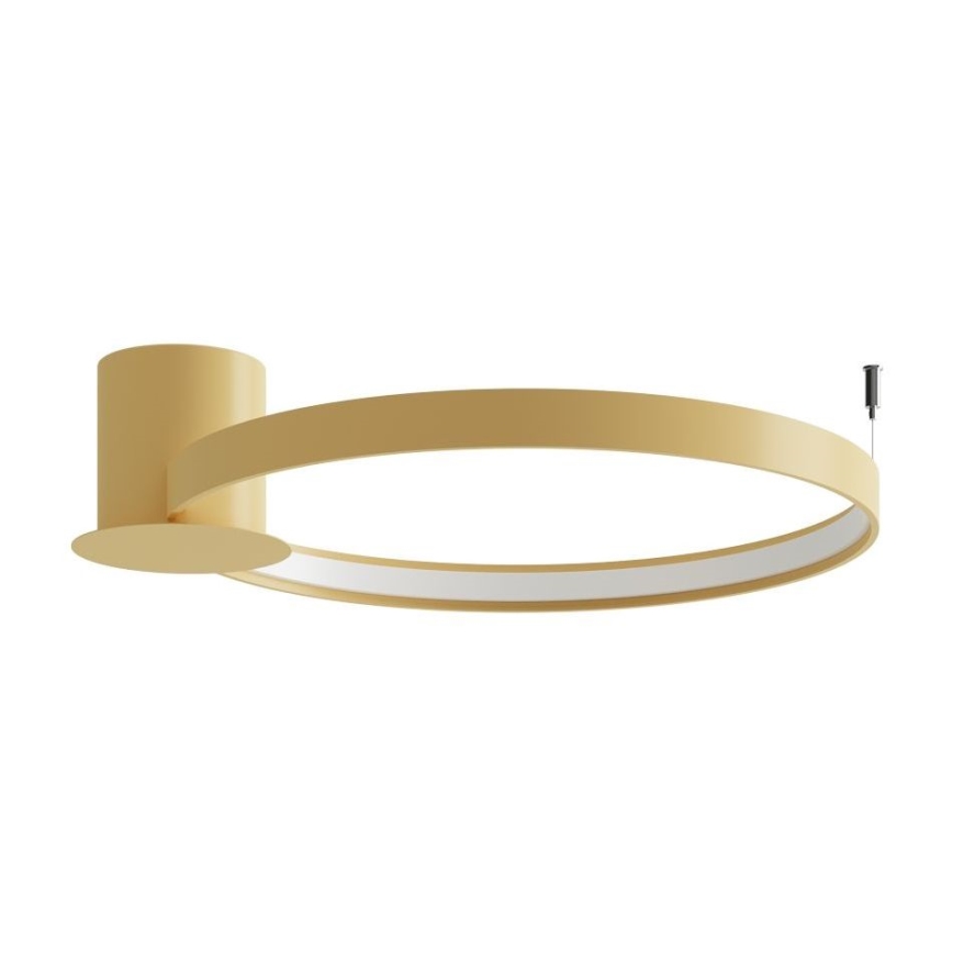 Thoro TH.222 - Φωτιστικό οροφής LED RIO LED/30W/230V CRI 90 3000K διάμετρος 55 cm χρυσό