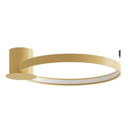 Thoro TH.223 - LED φωτιστικό οροφής RIO LED/30W/230V CRI 98 4000K διάμ. 55 cm χρυσό