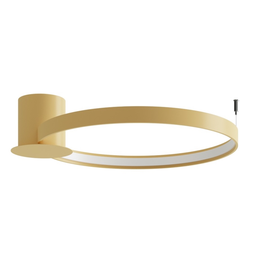 Thoro TH.223 - LED φωτιστικό οροφής RIO LED/30W/230V CRI 98 4000K διάμ. 55 cm χρυσό