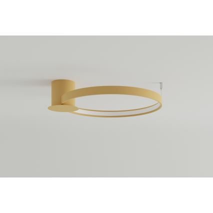 Thoro TH.223 - Φωτιστικό οροφής LED RIO LED/30W/230V CRI 95 4000K διάμετρος 55 cm χρυσό