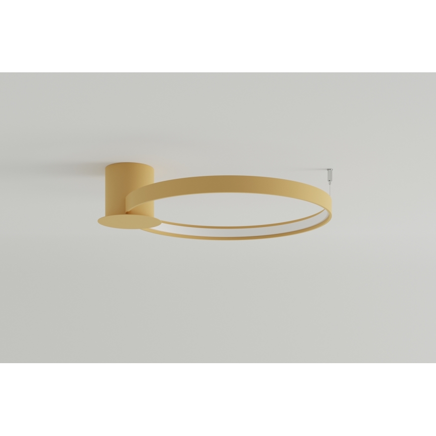 Thoro TH.223 - Φωτιστικό οροφής LED RIO LED/30W/230V CRI 95 4000K διάμετρος 55 cm χρυσό