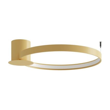 Thoro TH.223 - Φωτιστικό οροφής LED RIO LED/30W/230V CRI 95 4000K διάμετρος 55 cm χρυσό