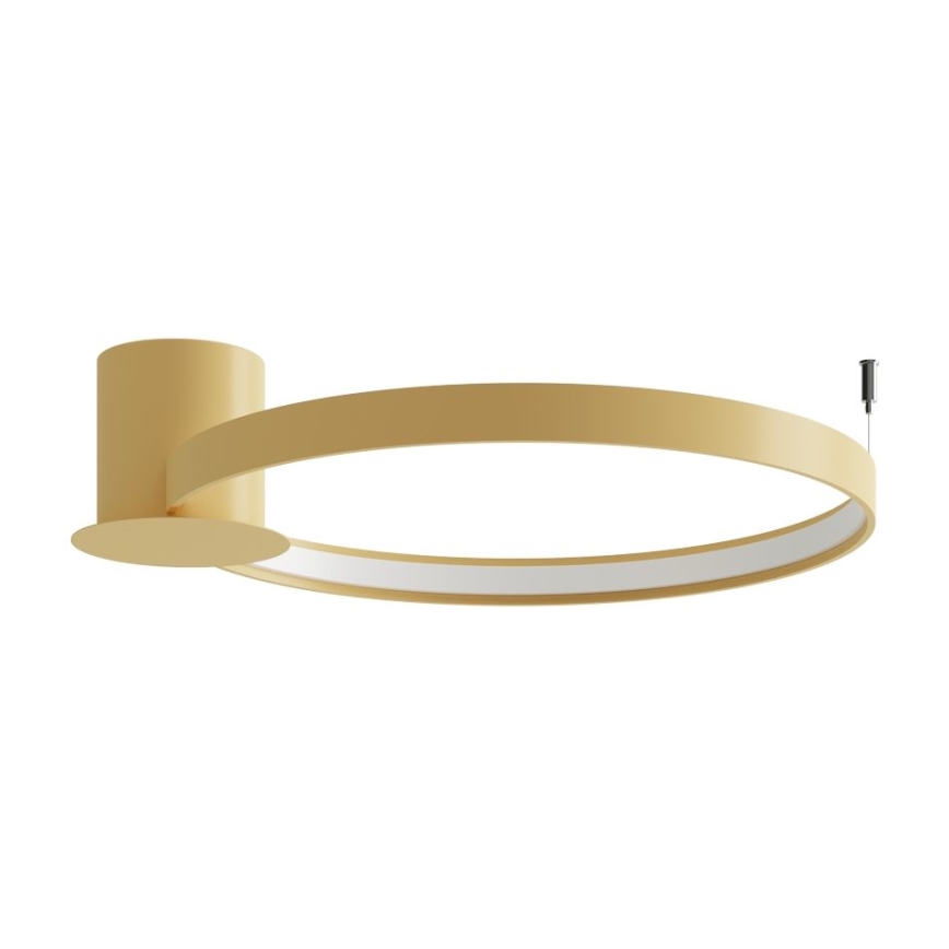 Thoro TH.223 - Φωτιστικό οροφής LED RIO LED/30W/230V CRI 95 4000K διάμετρος 55 cm χρυσό