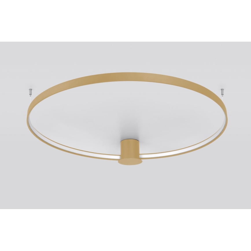Thoro TH.223 - Φωτιστικό οροφής LED RIO LED/30W/230V CRI 95 4000K διάμετρος 55 cm χρυσό