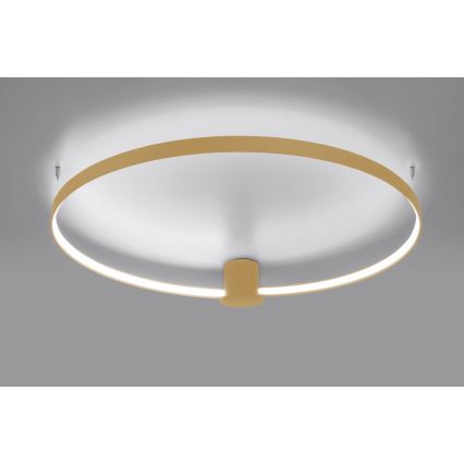 Thoro TH.223 - Φωτιστικό οροφής LED RIO LED/30W/230V CRI 95 4000K διάμετρος 55 cm χρυσό