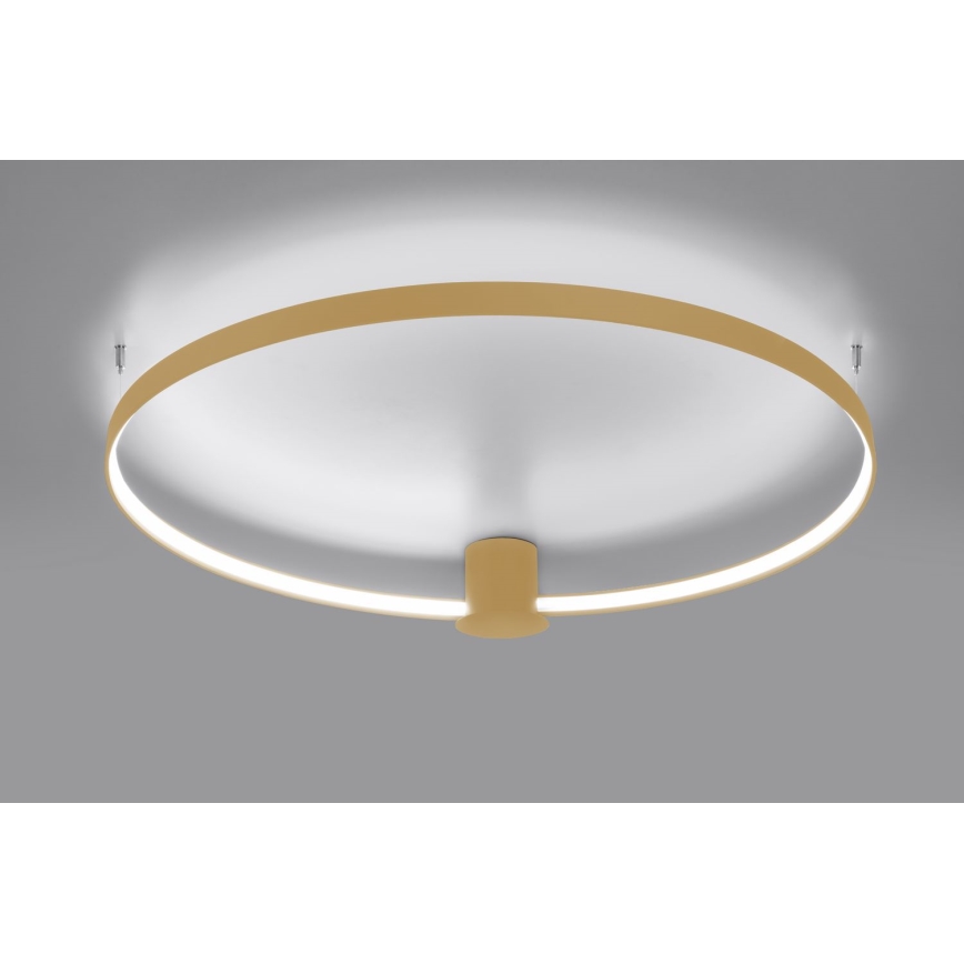 Thoro TH.223 - Φωτιστικό οροφής LED RIO LED/30W/230V CRI 95 4000K διάμετρος 55 cm χρυσό