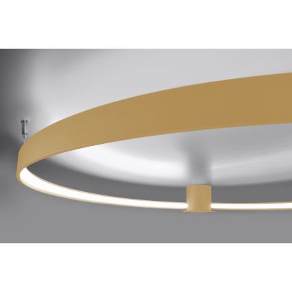 Thoro TH.223 - Φωτιστικό οροφής LED RIO LED/30W/230V CRI 95 4000K διάμετρος 55 cm χρυσό