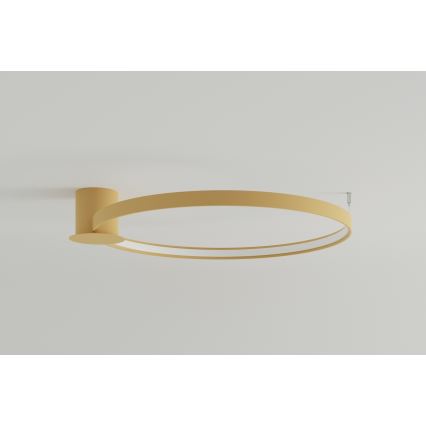 Thoro TH.224 - Φωτιστικό οροφής LED RIO LED/50W/230V CRI 90 3000K διάμετρος 78 cm χρυσό