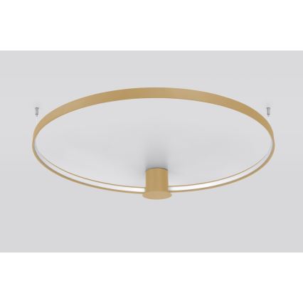 Thoro TH.224 - Φωτιστικό οροφής LED RIO LED/50W/230V CRI 90 3000K διάμετρος 78 cm χρυσό