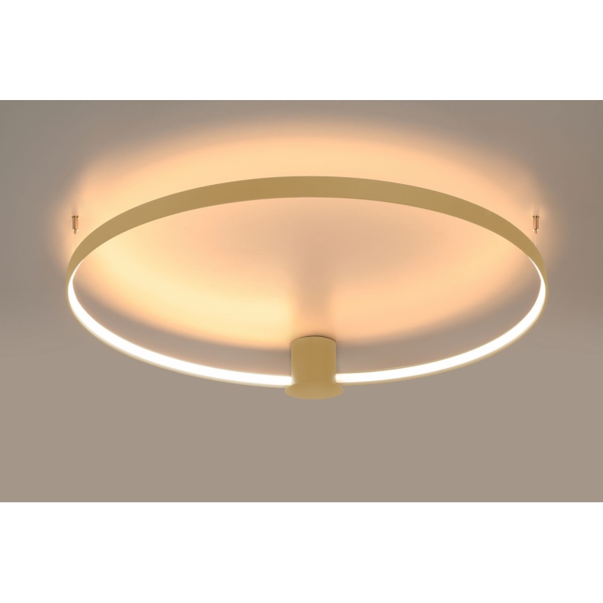 Thoro TH.224 - Φωτιστικό οροφής LED RIO LED/50W/230V CRI 90 3000K διάμετρος 78 cm χρυσό