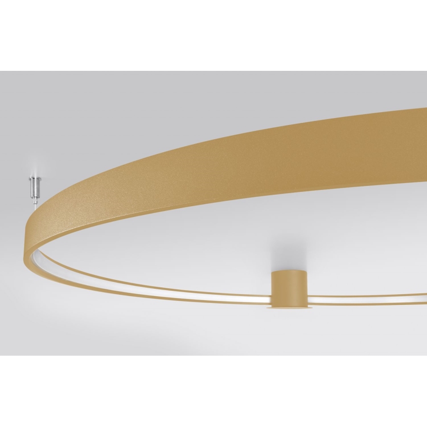 Thoro TH.224 - Φωτιστικό οροφής LED RIO LED/50W/230V CRI 90 3000K διάμετρος 78 cm χρυσό