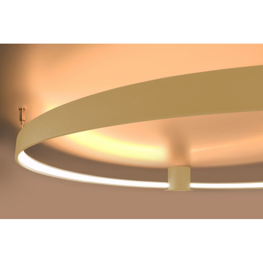 Thoro TH.224 - Φωτιστικό οροφής LED RIO LED/50W/230V CRI 90 3000K διάμετρος 78 cm χρυσό