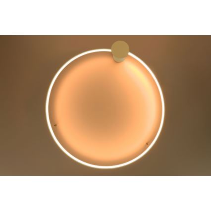 Thoro TH.224 - Φωτιστικό οροφής LED RIO LED/50W/230V CRI 90 3000K διάμετρος 78 cm χρυσό