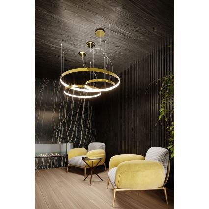 Thoro TH.246 -  Κρεμαστό φωτιστικό οροφής LED RIO LED/50W/230V CRI 90 3000K διάμετρος 78 cm χρυσό
