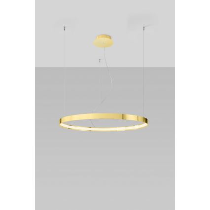 Thoro TH.246 -  Κρεμαστό φωτιστικό οροφής LED RIO LED/50W/230V CRI 90 3000K διάμετρος 78 cm χρυσό