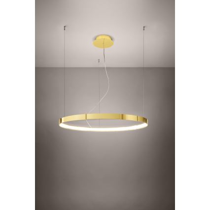 Thoro TH.246 -  Κρεμαστό φωτιστικό οροφής LED RIO LED/50W/230V CRI 90 3000K διάμετρος 78 cm χρυσό