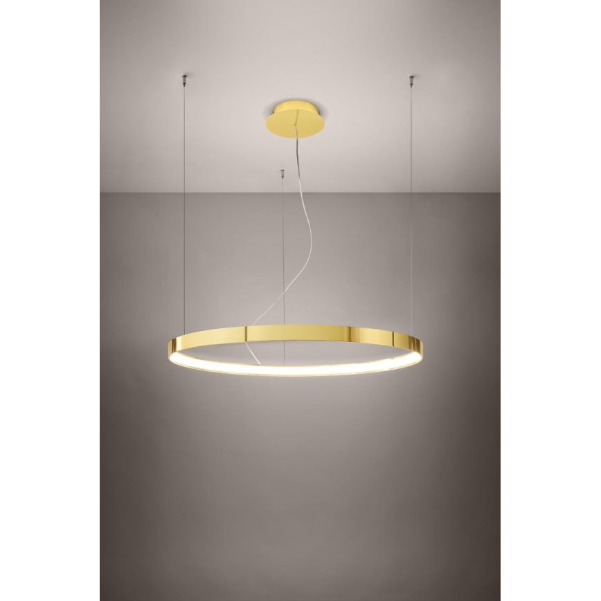 Thoro TH.246 -  Κρεμαστό φωτιστικό οροφής LED RIO LED/50W/230V CRI 90 3000K διάμετρος 78 cm χρυσό