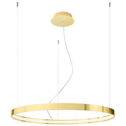 Thoro TH.246 -  Κρεμαστό φωτιστικό οροφής LED RIO LED/50W/230V CRI 90 3000K διάμετρος 78 cm χρυσό
