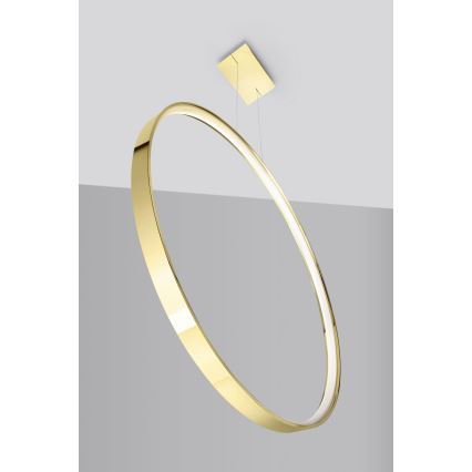 Thoro TH.248 -  Κρεμαστό φωτιστικό οροφής LED RIO LED/50W/230V CRI 90 3000K διάμετρος 78 cm χρυσό