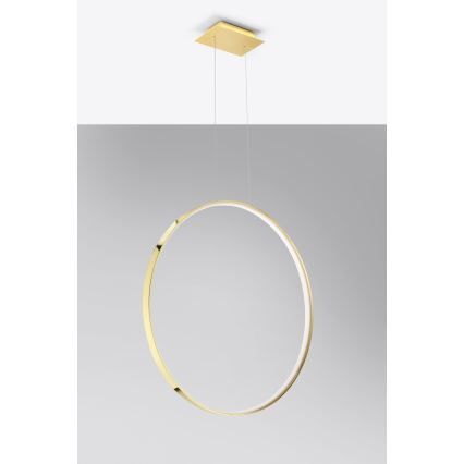 Thoro TH.248 -  Κρεμαστό φωτιστικό οροφής LED RIO LED/50W/230V CRI 90 3000K διάμετρος 78 cm χρυσό