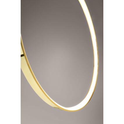 Thoro TH.248 -  Κρεμαστό φωτιστικό οροφής LED RIO LED/50W/230V CRI 90 3000K διάμετρος 78 cm χρυσό