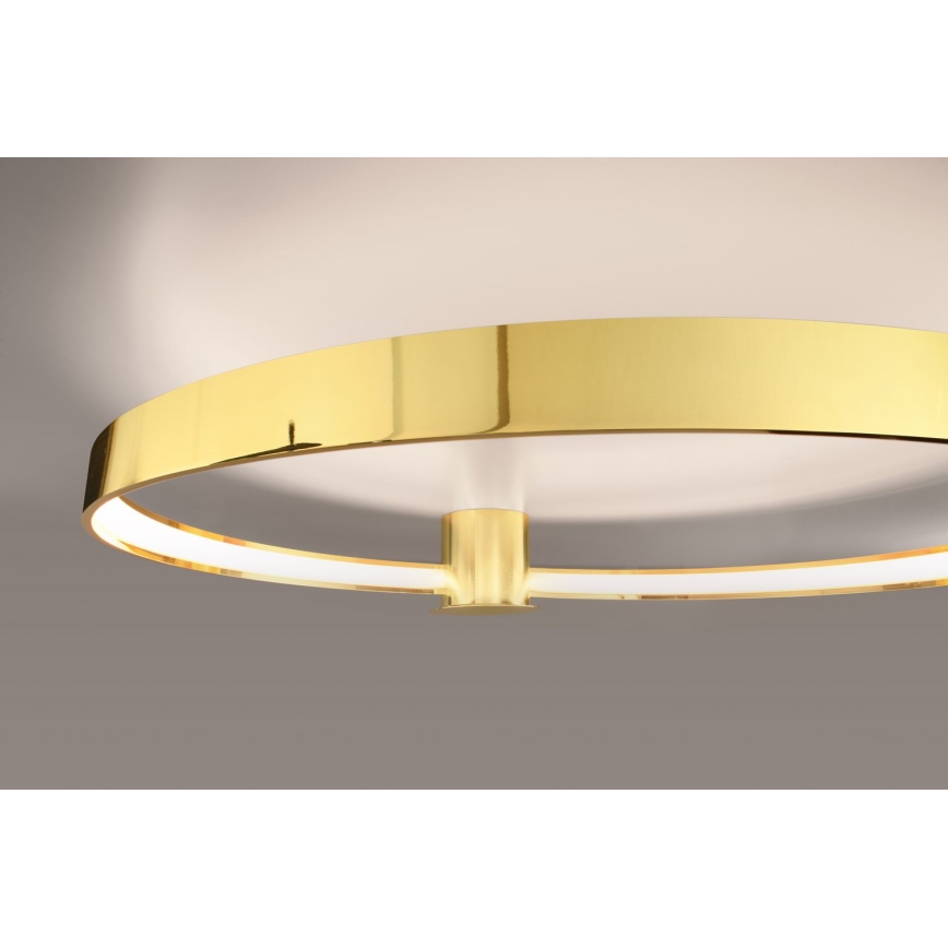 Thoro TH.252 - Φωτιστικό οροφής LED RIO LED/50W/230V CRI 90 3000K διάμετρος 78 cm χρυσό