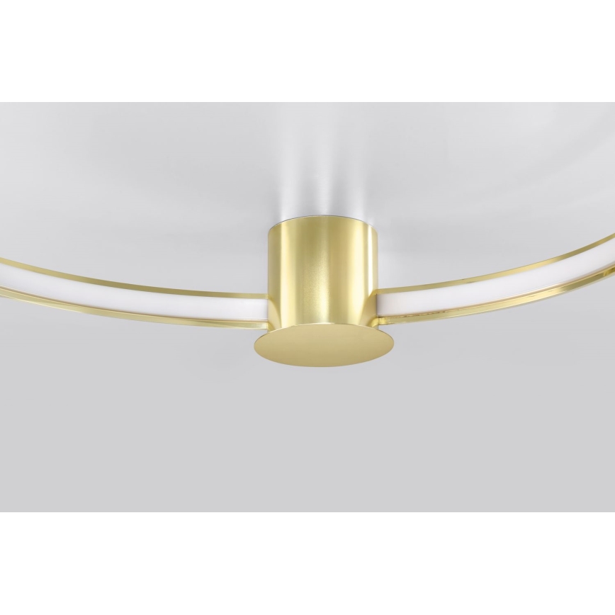 Thoro TH.252 - Φωτιστικό οροφής LED RIO LED/50W/230V CRI 90 3000K διάμετρος 78 cm χρυσό