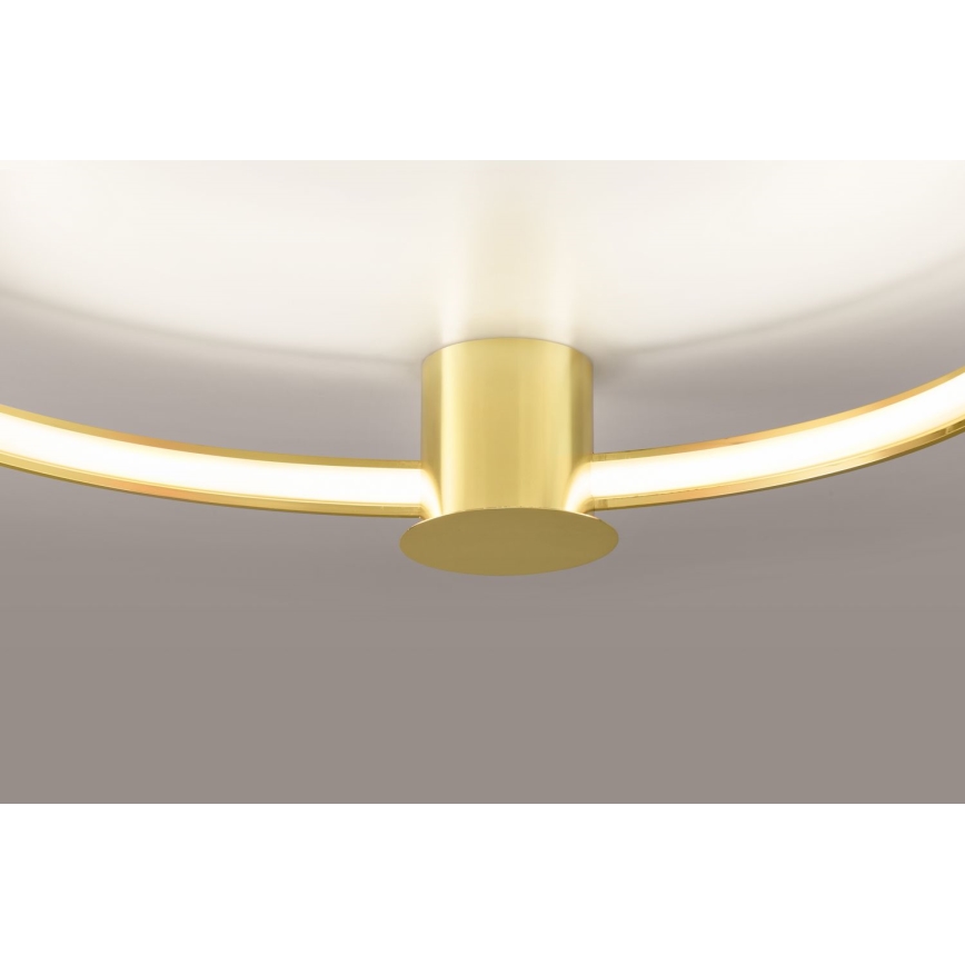 Thoro TH.252 - Φωτιστικό οροφής LED RIO LED/50W/230V CRI 90 3000K διάμετρος 78 cm χρυσό