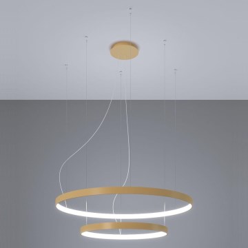 Thoro TH.268 - LED Πολύφωτο με καλώδιο RIO LED/80W/230V CRI 95 4000K χρυσό