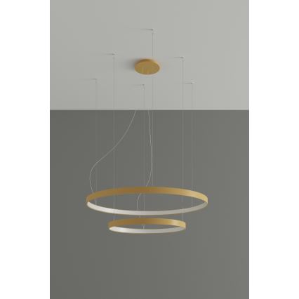Thoro TH.268 -  Κρεμαστό φωτιστικό οροφής LED RIO LED/80W/230V CRI 95 4000K χρυσό