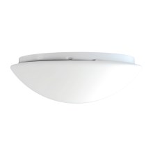 Top Light 5501/40/LED - Φως οροφής LED 1xLED/24W/230V