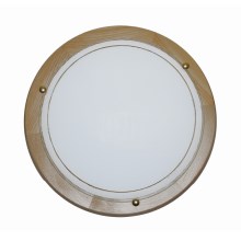 Top Light 5502/30/OD - Φως οροφής 1xE27/60W/230V