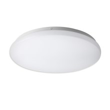 Top Light DUNAJ K 30 - Φως οροφής LED DUNAJ LED/18W/230V