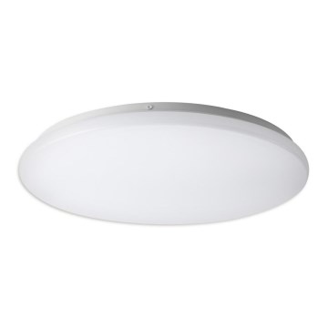 Top Light DUNAJ K 50 - Φως οροφής LED DUNAJ LED/36W/230V 4000K