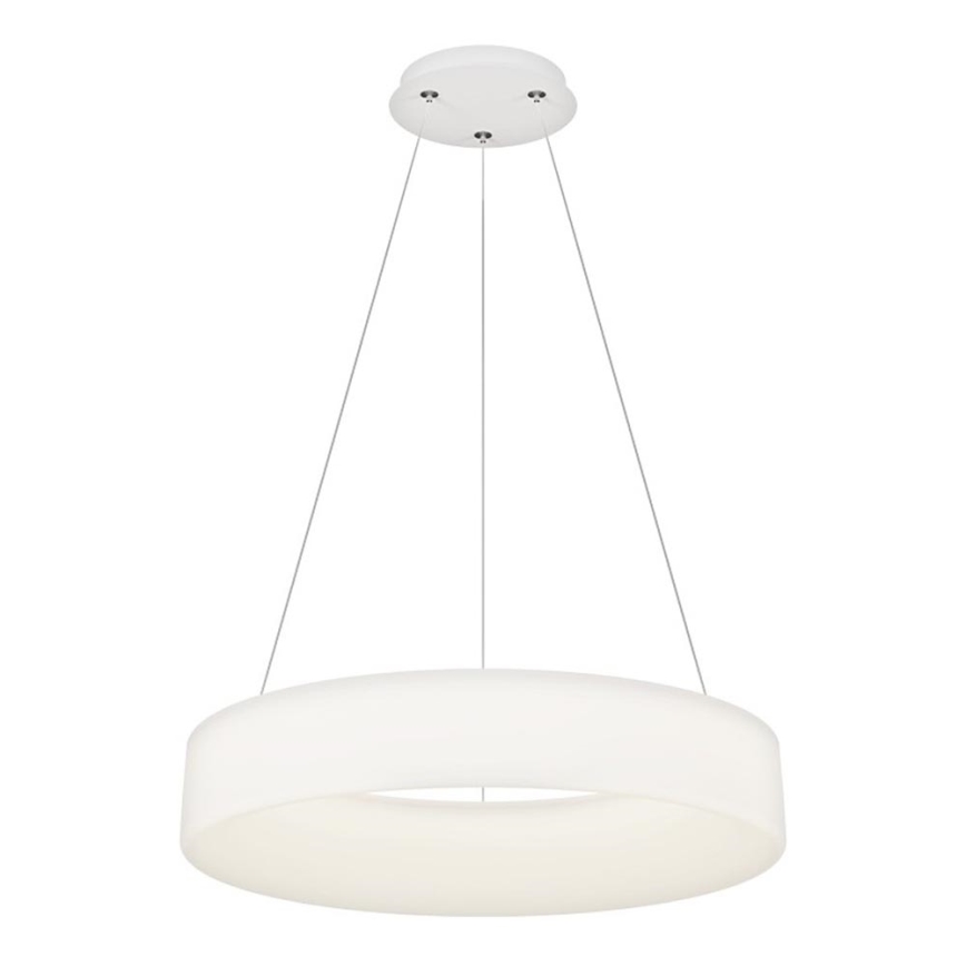 Top Light - LED Dimmable κρεμαστό φωτιστικό HALO LED/60W/230V 3000-6500K ø 60 cm + τηλεχειριστήριο