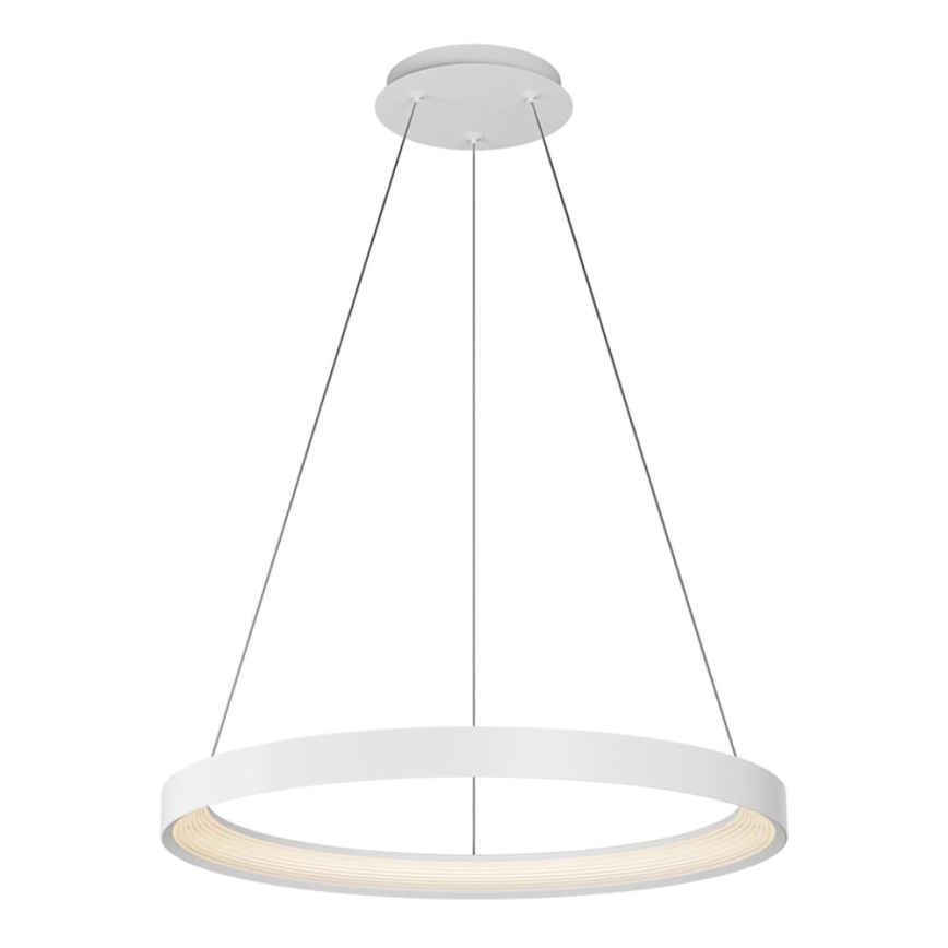 Top Light - Led Dimmable κρεμαστό φωτιστικό οροφής ORBIT LED/40W/230V 3000-6500K διάμετρος 50 cm λευκό + τηλεχειριστήριο