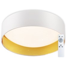 Top Light - LED Dimmable φωτιστικό οροφής IVONA 40B RC LED/24W/230V + τηλεχειριστήριο λευκό