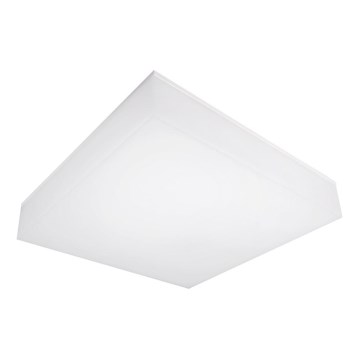 Top Light - LED Dimmable φωτιστικό τοίχου οροφής BOXTER LED/12/18/24W/230V IP54 3000/4000/6500K 28x28 cm