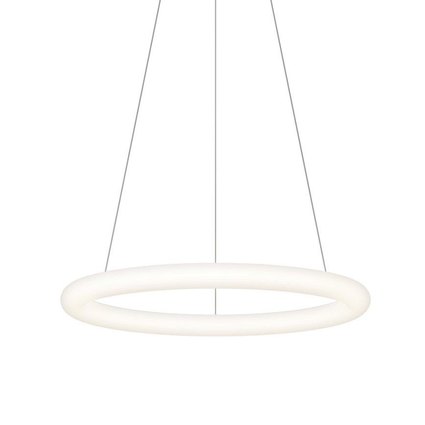 Top Light - LED ρυθμιζόμενο κρεμαστό φωτιστικό με καλώδιο RINGO LED/40W/230V 3000-6500K λευκό + τηλεχειριστήριο