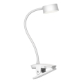 Top Light - LED Ρυθμιζόμενη επιτραπέζια λάμπα αφής με κλιπ BELLA LED/4,8W/5V 3000-6500K λευκή